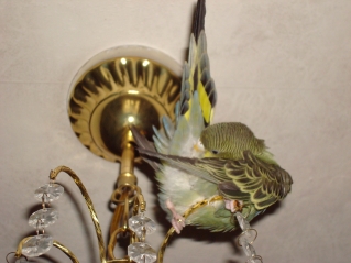 DSC04201.JPG