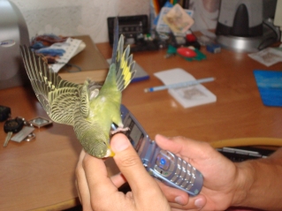 DSC04207.JPG