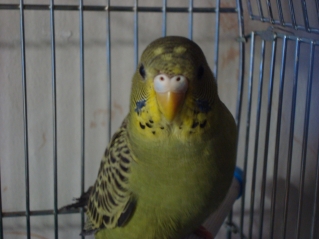 DSC04218.JPG