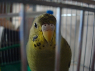 DSC04235.JPG