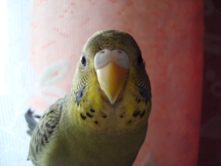 DSC04237.JPG