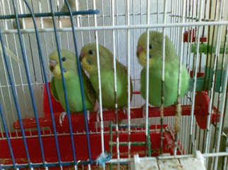 29082010(002)+.jpg