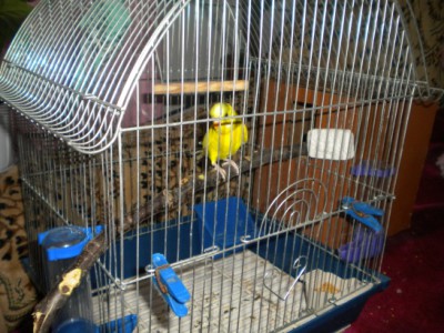 DSCN2729.JPG