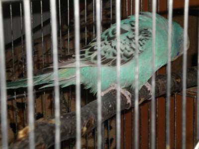 DSCN2733.JPG