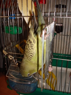 DSC04330.JPG
