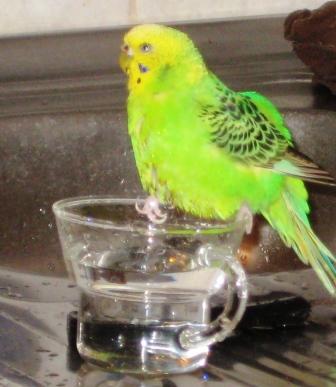 IMG_1741.jpg