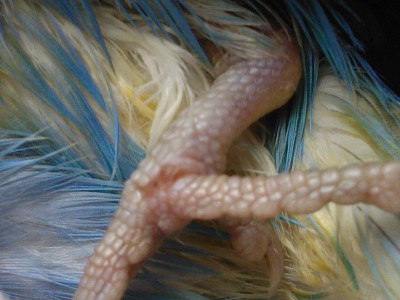SP_A0065.jpg