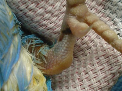 SP_A0063.jpg