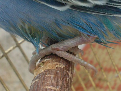 SP_A0060.jpg