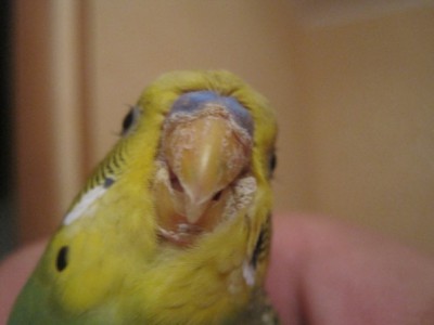 x_3433a0cd.jpg