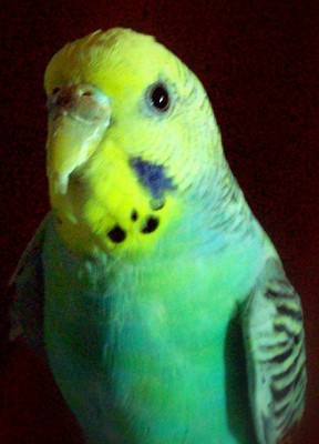 132_2023.JPG