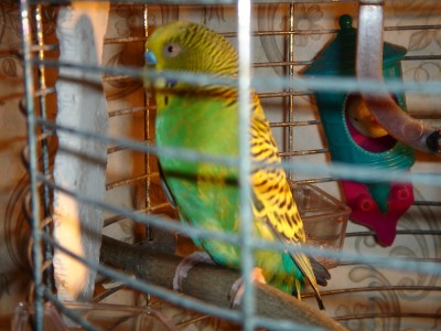 dsc01776_измен.размер.jpg
