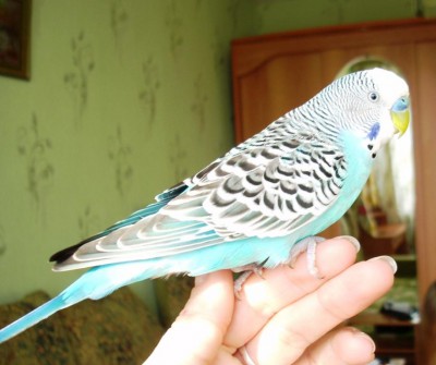 DSCN4324.JPG