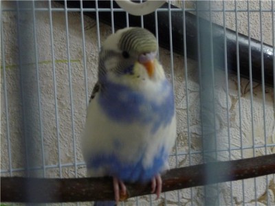 c4c7ade49a01.jpg