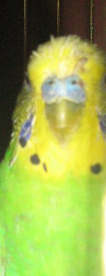 IMG_348;3.jpg