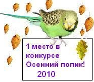 G.jpg