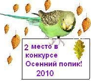 им.jpg