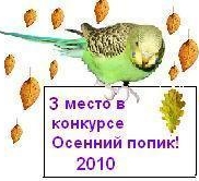 ен.jpg