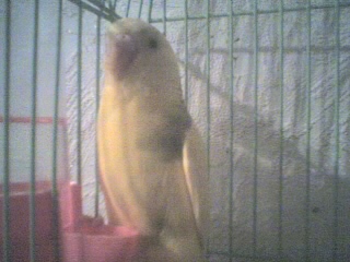 27-10-10_2339.jpg