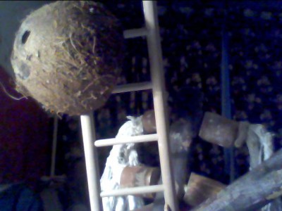 Photo_00001.jpg