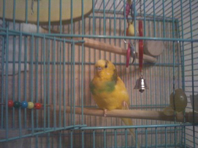 IMG0124.jpg
