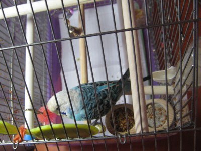 IMG_2811.JPG