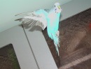 m_fd430010.jpg