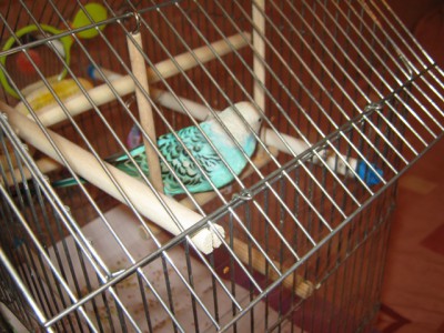 IMG_2828.JPG